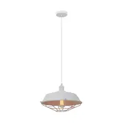 MATRIX Iron Dome & Cage 1 Light Pendant White - MATRIX-W
