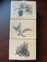 Inkadinkadoo Holiday Sprigs Rubber Stamp Set Winter 60-01139 Wood Sealed New
