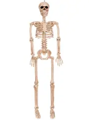 Poseable 90cm Human Skeleton Halloween Decoration