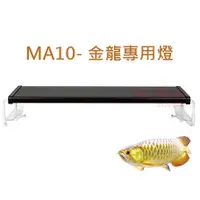 在飛比找蝦皮購物優惠-📣瘋狂水族📣 <免運>台灣 Mr.aqua水族先生  MA1