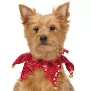 Aria Red Shimmer Sequin Dog Scrunchy Pet Scrunchies holiday Christmas red