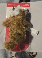 KONG Dr Noys Teddy Bear Dog Toy - Extra Small For Small Dogs