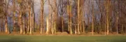 ShelfScapes 2217x Battle Of Gettysburg Pickett's Charge 10" x 30" Backdrop