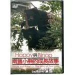 HAPPY與BINGO兩隻熊的成長故事DVD(中英)