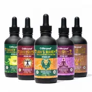 [Lifecykel] Professional Biohacker Set™, Chaga Biohacker Set 120ml