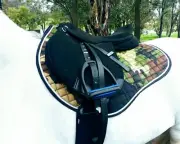 Camo Showjumping Saddle Pad Set - brushing boots, bell boots, ear bonnet