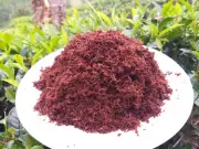 Coconut Coir Coco Peat Organic Compost Soil Media Hydroponics Substrate 350g(1L)