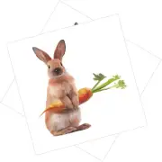 2 Sheets Rabbit Wall Sticker Unicorn Decals Animal Animals Cartoon Stickers