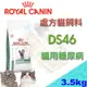 [3.5kg新規格上市] ROYAL CANIN 法國皇家 DS46 貓用糖尿病處方飼料--另有1.5kg