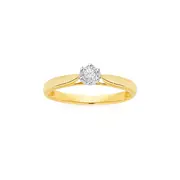 9ct Two Tone Gold Diamond Solitaire Ring