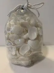 Baby ark sea shells. 2 lb bag New
