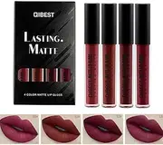 Matte Liquid Lipstick Set 4 Colors Mist Waterproof Long Lasting Lipsticks Non-Stick Cup Lip Gloss