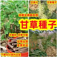 在飛比找蝦皮購物優惠-🔥🔥【 甘草種子】純中藥材種子 甘草種子 甜草根 耐寒抗旱庭