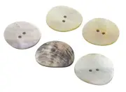 Natural Pearl White 2 Hole Shell Button Round Sewing Button for DIY Craft Swe...