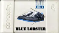 在飛比找Yahoo!奇摩拍賣優惠-Nike Dunk SB Low Blue Lobster 