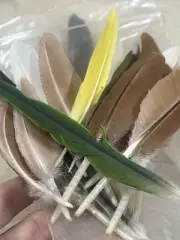 Random Feather Mix 20+ Pieces, Green/yellow Pheasant Feathers. Natural 15cm
