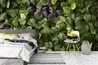3D Green Leaves Wallpaper Wall Mural Removable Self-adhesive 91