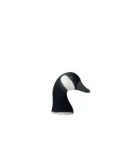 Canada Goose Looker Heads. 12 packCanada Goose Sock Heads only. Windsock Heads.
