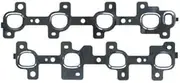 Manifold Gasket MS3821