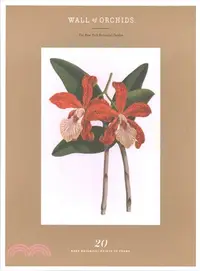 在飛比找三民網路書店優惠-Wall of Orchids ― 20 Rare Bota