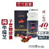 在飛比找遠傳friDay購物優惠-【COSHIA科雅健研】AC-200 牛樟芝子實體素食膠囊