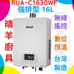 《林內》RUA-C1630WF數位恆溫 強制排氣16L熱水器 16公升熱水器 保證原廠公司貨 林內C1630 1630