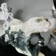 2.93LB Natural Moss Agate Quartz Carved Tiger Skull Crystal Reiki Healing Gift