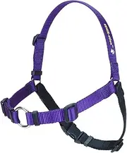 Sense-ation No-Pull Dog Harness - Purple Medium