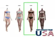 TBLeague S22B 1/6 Female Muscle Seamless Body DARK BROWN M Bust Figure USA