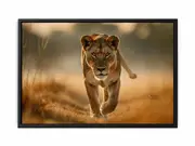Lioness Framed Print Fine Art Poster Print