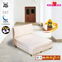 在飛比找momo購物網優惠-【USLEEP舒背秀】微微硬2.3乳膠升級連結式床墊-3.5