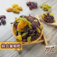 在飛比找蝦皮商城優惠-綜合葡萄乾 隨身包 葡萄乾 白葡萄乾 蔓越莓 藍莓 梅香葡萄