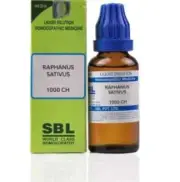 SBL Raphanus Sativus Dilution 1000 CH