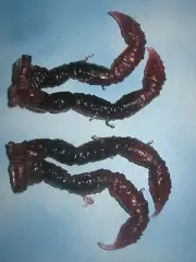 Marvel Legends Build-A-Figure THE VOID - LEFT TENTACLES (Crystar)!