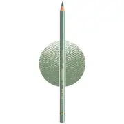 Faber-Castell Polychromos Pencil Earth Green 172