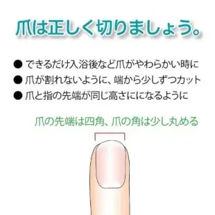 【日本】職人手作 一字指甲剪（3款）