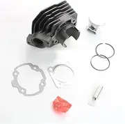 WOODEY 70cc Cylinder Kit & Gasket & The Piston Suite for Peugeot TKR 50 Trekker 50 Off Road S1A0KB Speedfight 2 50 AC Iron-X S1BAD 47mm