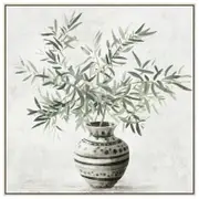 Walters Olive Tree in Pot Canvas