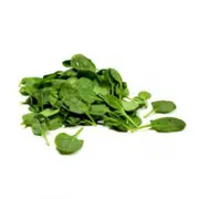 Organic Coolibah English Spinach, Baby Pre-Pack – Fresh, healthy organic delivery | Doorstep Organics
