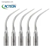For Acteon Satelec DTE NSK Scaler Dental Ultrasonic Piezon Tips 1S Tip, 5pcs