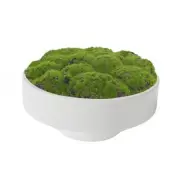 New Moss Bowl, Handmade Ceramic Bowl. 11" Artificial Moss Centerpiece 11"white