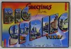 Greetings from Big Spring Texas 2" X 3" Fridge / Locker Magnet.