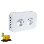 LushPro COB LED 200w Full spectrum - BEST result