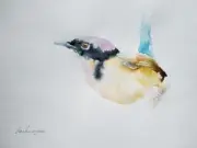 Fairy-wren, Watercolor artwork, Handmade, Original painting on paper