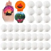 GlikCeil 30 Pcs Scallop Shells for Crafts White Sea Shells Bulk Natural Large...