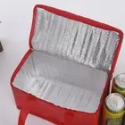 Insulated Lunch Bag Leakproof Thermal Bento Cooler Men- Tote Best and Fo New