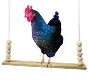 Chicken Swing Coop Toy Made in USA! Natural Wood Safe Durable Flat Bar Perch ...