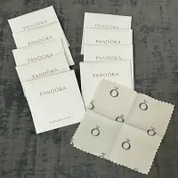 在飛比找蝦皮購物優惠-PANDORA潘朵拉 單層拭銀布 全新未用