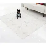 韓國製 DFANG迪邦 寵物降溫遊戲地墊 止滑 防摔 耐刮靜音 寵物地墊 迪邦地墊 好清洗