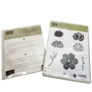 Stampin' Up! SIMPLE STEMS Set of 7 Stamps + STYLISH STEMS Framelits Dies 11